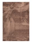 Koberec Tiara 120x170 cm, hnedý